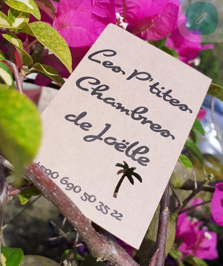 P'Tites Chambres Dans La Campagne De Marie Galante Grand-Bourg  Zewnętrze zdjęcie